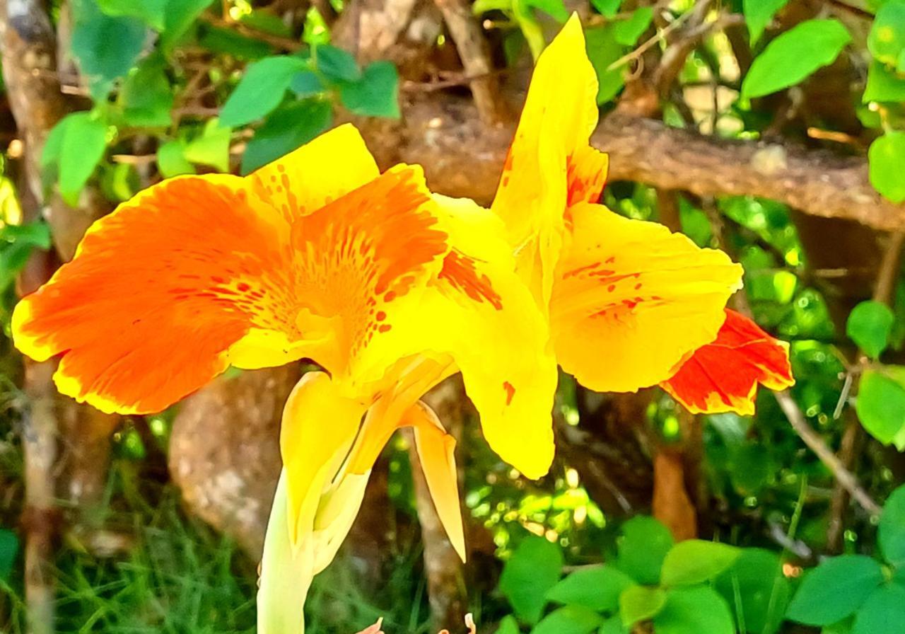 Villa Camotes Santiago  ภายนอก รูปภาพ